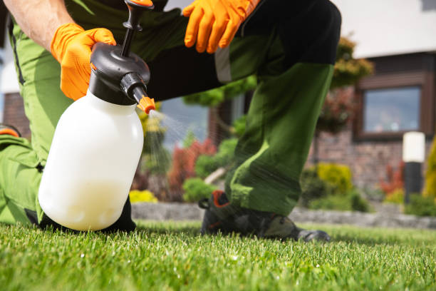 Best Pest Control Near Me  in Byram Center, NJ