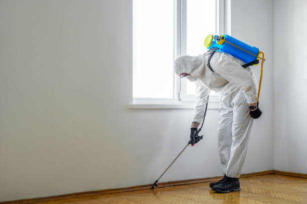 Best Emergency Pest Control  in Byram Center, NJ