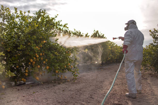 Best Termite Control Services  in Byram Center, NJ