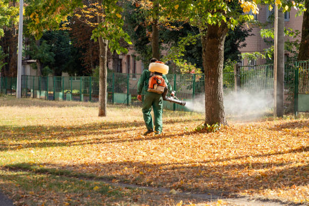 Best Pest Removal Services  in Byram Center, NJ
