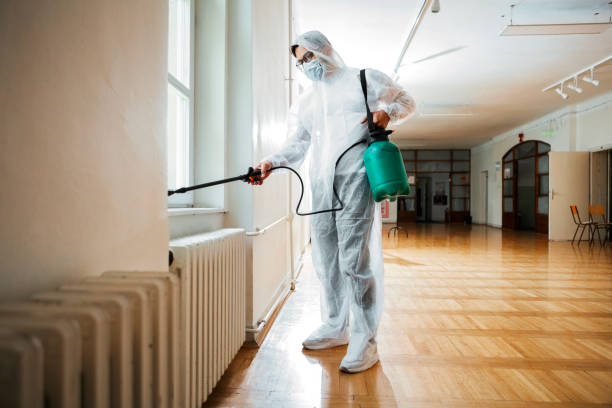 Best Wasp Removal Services  in Byram Center, NJ
