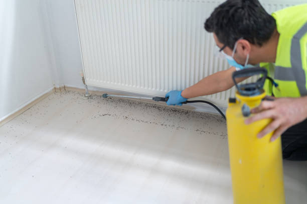 Best Exterminator Services  in Byram Center, NJ